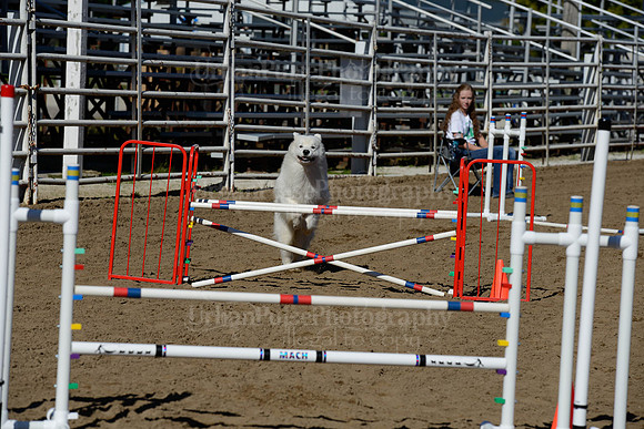 AGILITY-2039