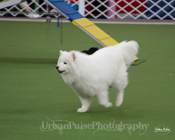 AGILITY_9484