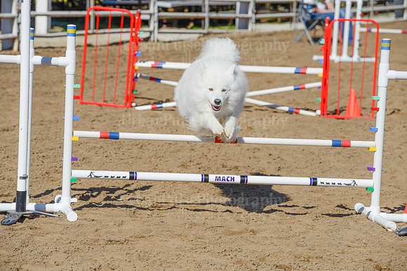AGILITY-2153