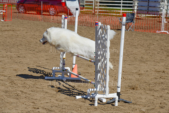 AGILITY-2385