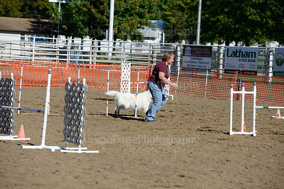 AGILITY-2004