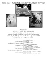 MATER PEDIGREE BOOK
