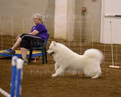 SCA2016_AG MON FAST NOVICE-3591