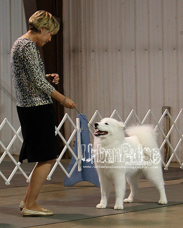 Fargo_2011-3759