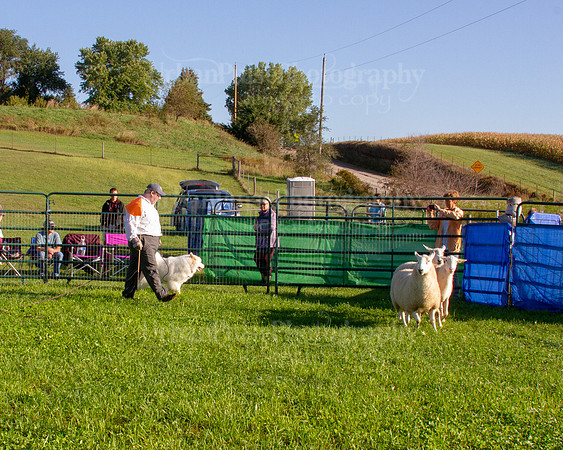 SCA2019_HERDING-0601