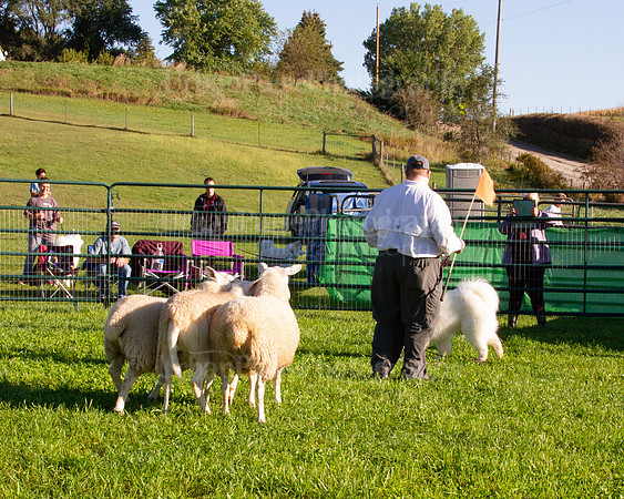 SCA2019_HERDING-0598
