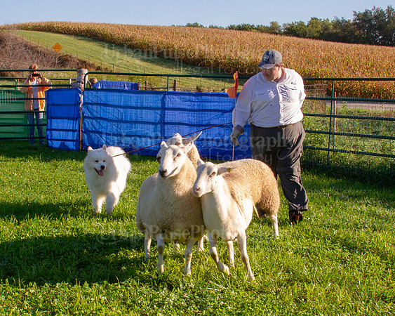 SCA2019_HERDING-0604