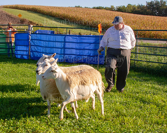 SCA2019_HERDING-0605