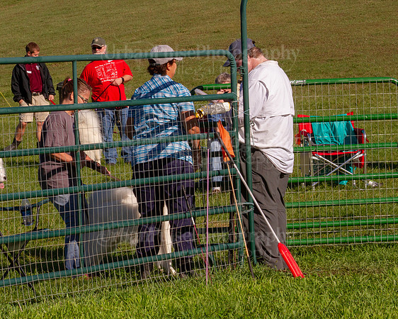 SCA2019_HERDING-0760