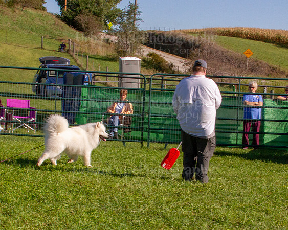 SCA2019_HERDING-0786