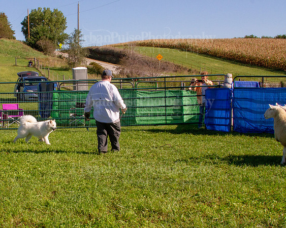 SCA2019_HERDING-0807