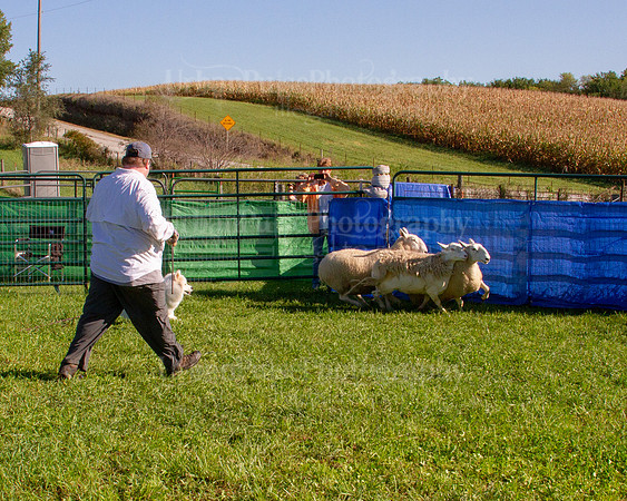 SCA2019_HERDING-0810