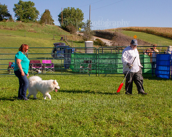 SCA2019_HERDING-0822
