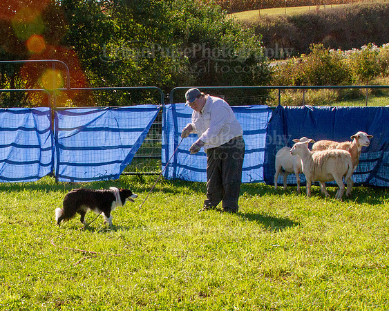 SCA2019_HERDING-0871