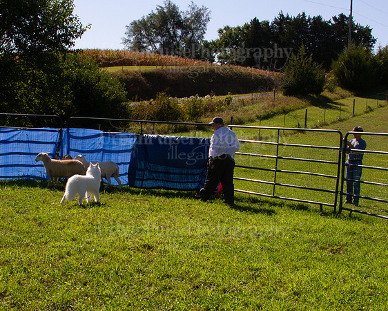 SCA2019_HERDING-0986