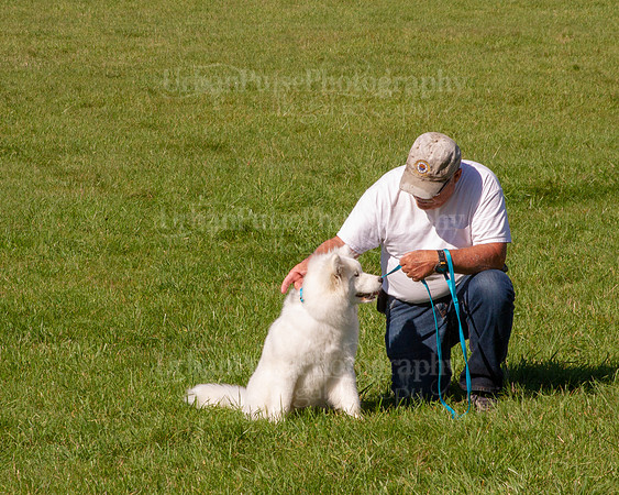 SCA2019_HERDING-0996