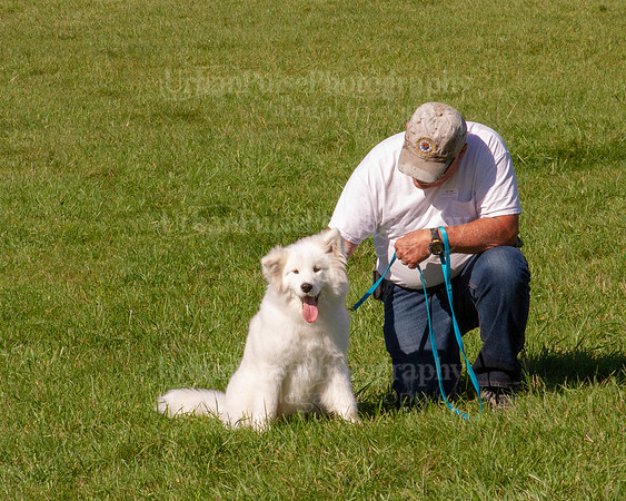 SCA2019_HERDING-0997