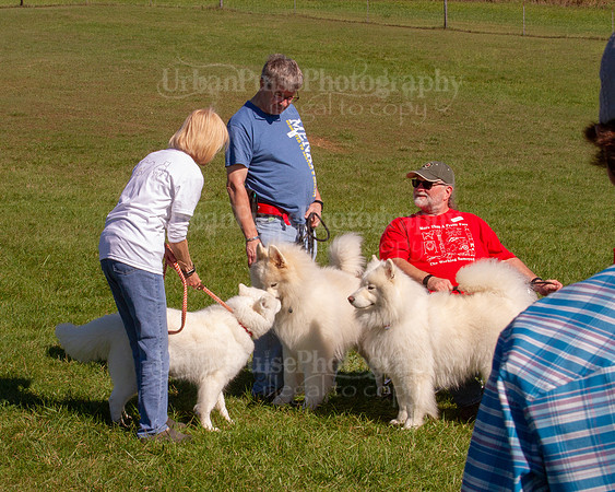 SCA2019_HERDING-0998