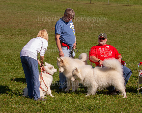 SCA2019_HERDING-0999