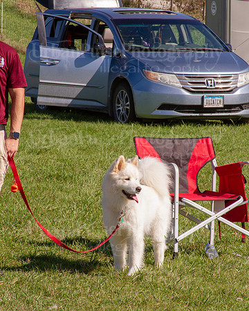 SCA2019_HERDING-1031
