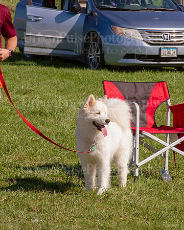 SCA2019_HERDING-1032