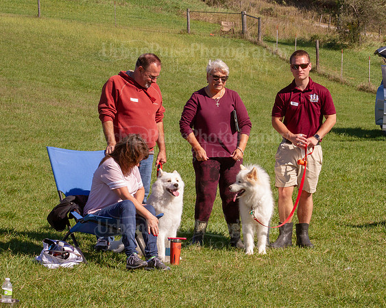 SCA2019_HERDING-1033