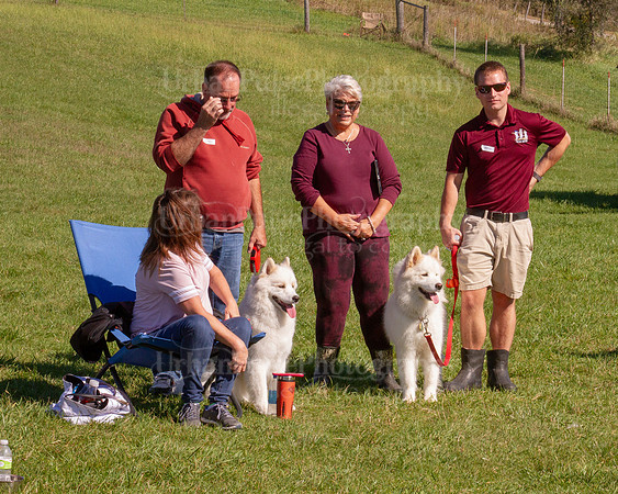 SCA2019_HERDING-1034