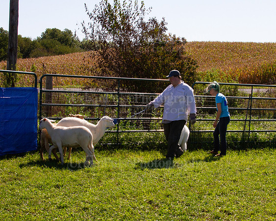 SCA2019_HERDING-1128