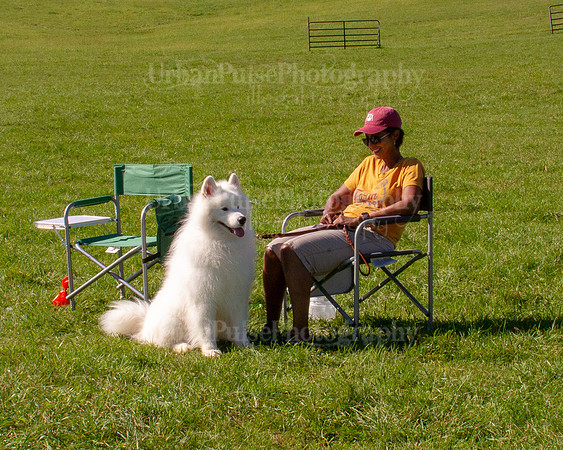 SCA2019_HERDING-1134