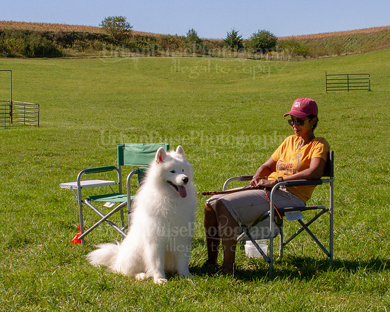 SCA2019_HERDING-1136
