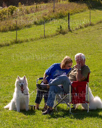 SCA2019_HERDING-1137