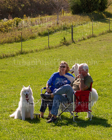 SCA2019_HERDING-1138