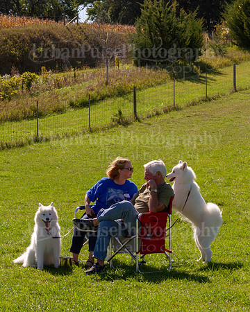 SCA2019_HERDING-1139
