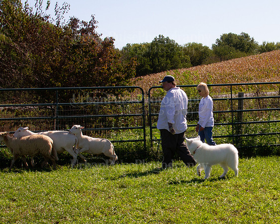 SCA2019_HERDING-1141