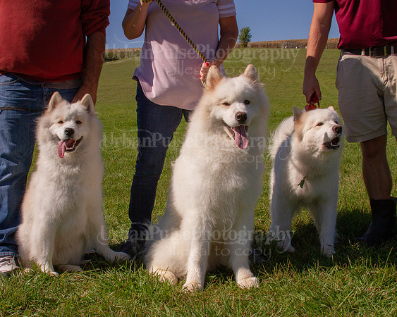 SCA2019_HERDING-1160