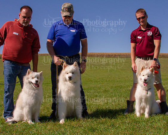SCA2019_HERDING-1164