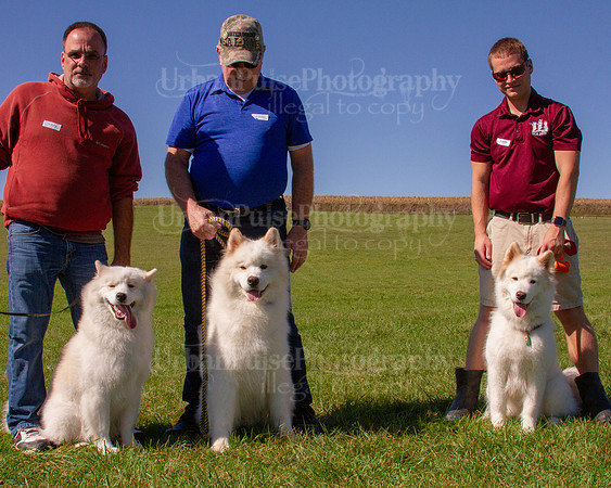 SCA2019_HERDING-1165