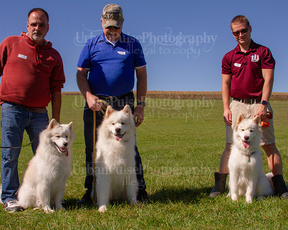 SCA2019_HERDING-1166