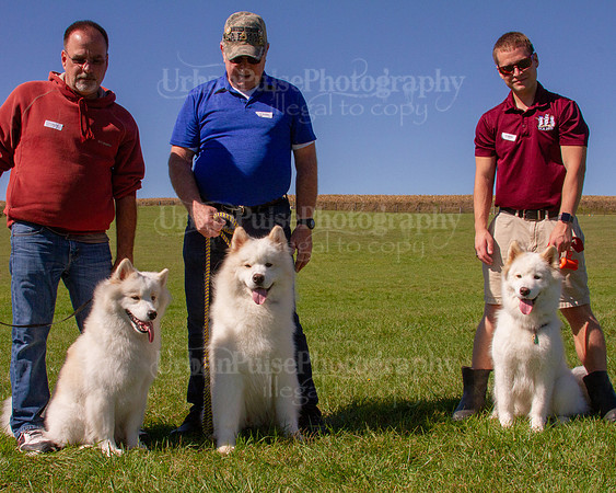 SCA2019_HERDING-1167