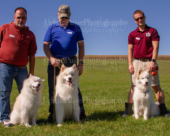 SCA2019_HERDING-1168