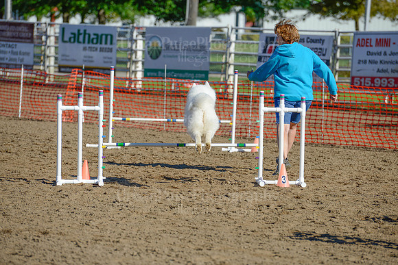 AGILITY-1866