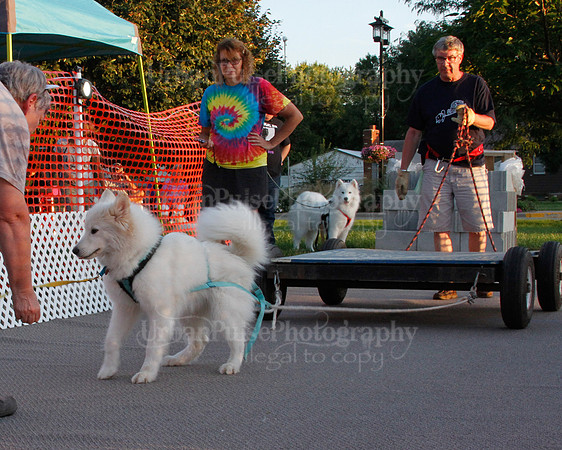 SCA2019 NOVICE WP-1338