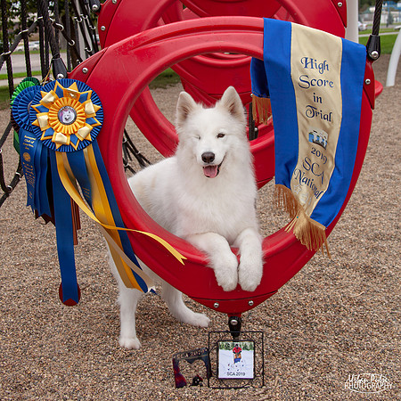 SCA2019 RANDOM CANDIDS-0937