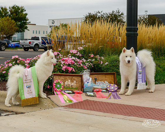 SCA2019 RANDOM CANDIDS-8259