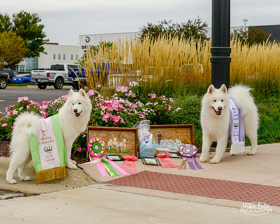 SCA2019 RANDOM CANDIDS-8263