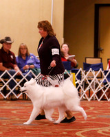 SCA 2019 - BITCH WORKING