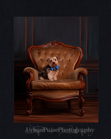 "King of His Castle" 2019 International Print Award - PPA (photography)