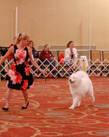 SCA2019 BEST OF-0574