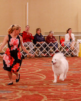 SCA2019 BEST OF-0575