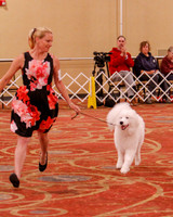 SCA2019 BEST OF-0577